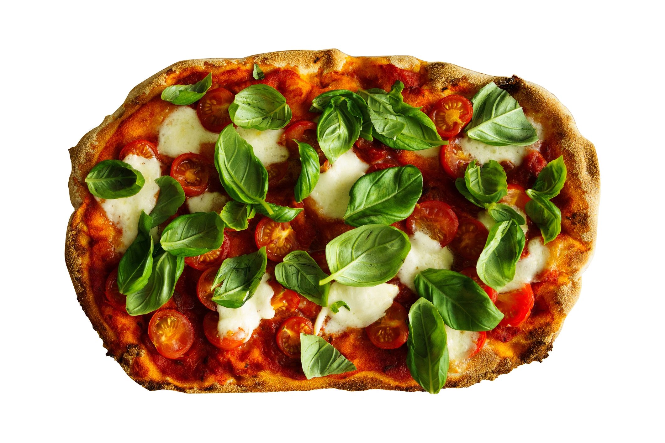 Margherita style artisan pizza