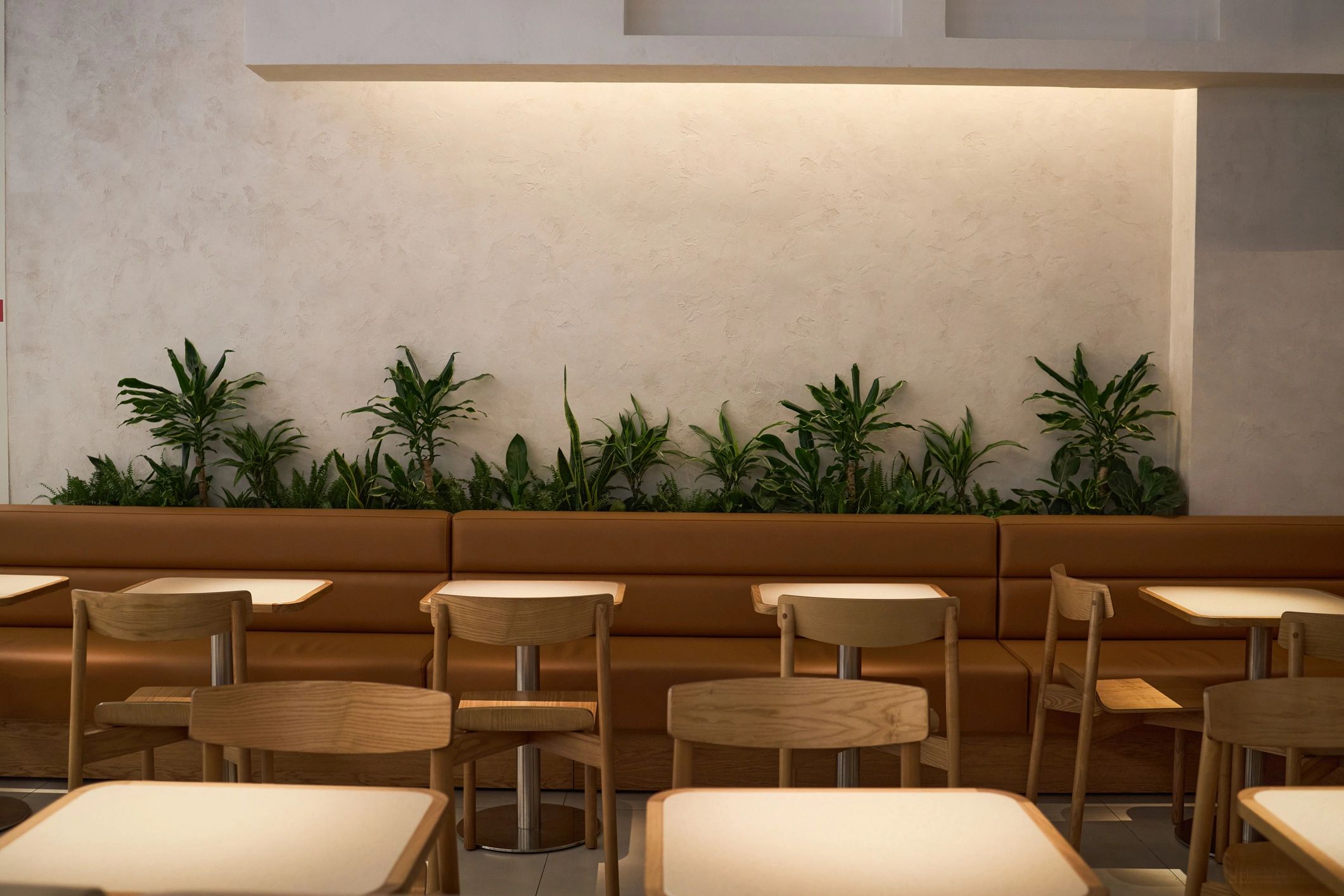 Warm restaurant interior with seating